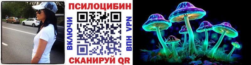 Купить где  Поронайск  Галлюциногенные грибы Psilocybine cubensis 